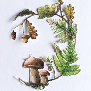 2 x couronne verte avec feuilles de fougère champignons gland die cuts, automne / feuillage d'automne pour la fabrication de cartes, la décoration intérieure, le scrapbooking et la journalisation