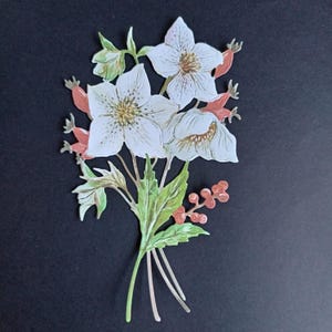 2 grandes flores de heléboro brancas e vermelhas recortadas, recortes de papel para scrapbooking, decoração de casa, criação de cartões e diário, enfeites de cartão