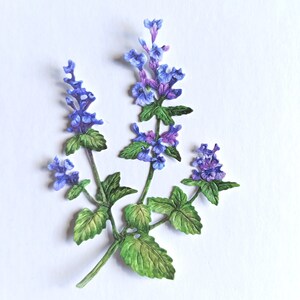 6 x paarse gestanste bloemstengels, uitgesneden papieren bloemen, benodigdheden voor het maken van kaarten, kaarttoppers, cadeaulabels, scrapbooking