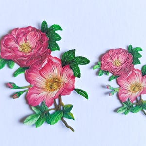 Roze dubbele bloem gestanst x 6, grote en kleine uitgesneden bloemtrossen voor scrapbooking, kaarten maken en journaling, kaarttoppers