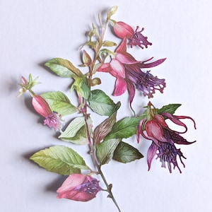 3 grandes recortes de flores fúcsia, recortes de papel para scrapbooking, decoração de casa, criação de cartões e diário, enfeites de cartão, itens efêmeros