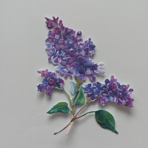 Renda Esfarrapada, Carisma, cortes, flores,