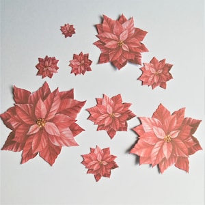 Fustellature natalizie, 9 fiori stella di Natale fustellati per realizzare biglietti, fustellature per le festività natalizie, fiori fustellati di carta che possono essere decopagezzati