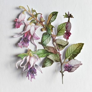 6 x cortes de flores fúcsia roxas/creme, recortes de buquê de flores para scrapbooking, decoração de casa, coisas efêmeras, criação de cartões e registro no diário
