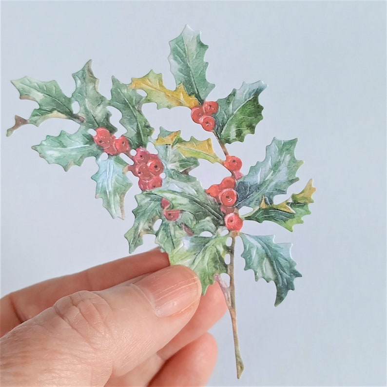 May include: A sprig of holly with green leaves and red berries. The holly is a traditional Christmas decoration.