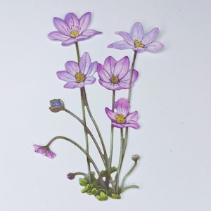 4 troqueles de flores altas, ramos de flores silvestres recortados en papel rosa para scrapbooking, decoración del hogar, fabricación de tarjetas y adornos para diario, efímeras