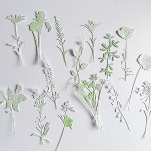 15 große Blumen stanzen, zarte stanzformen, grün-weiße blumen, blumen dekorationen, dekorationen, dekorationen, dekorationen
