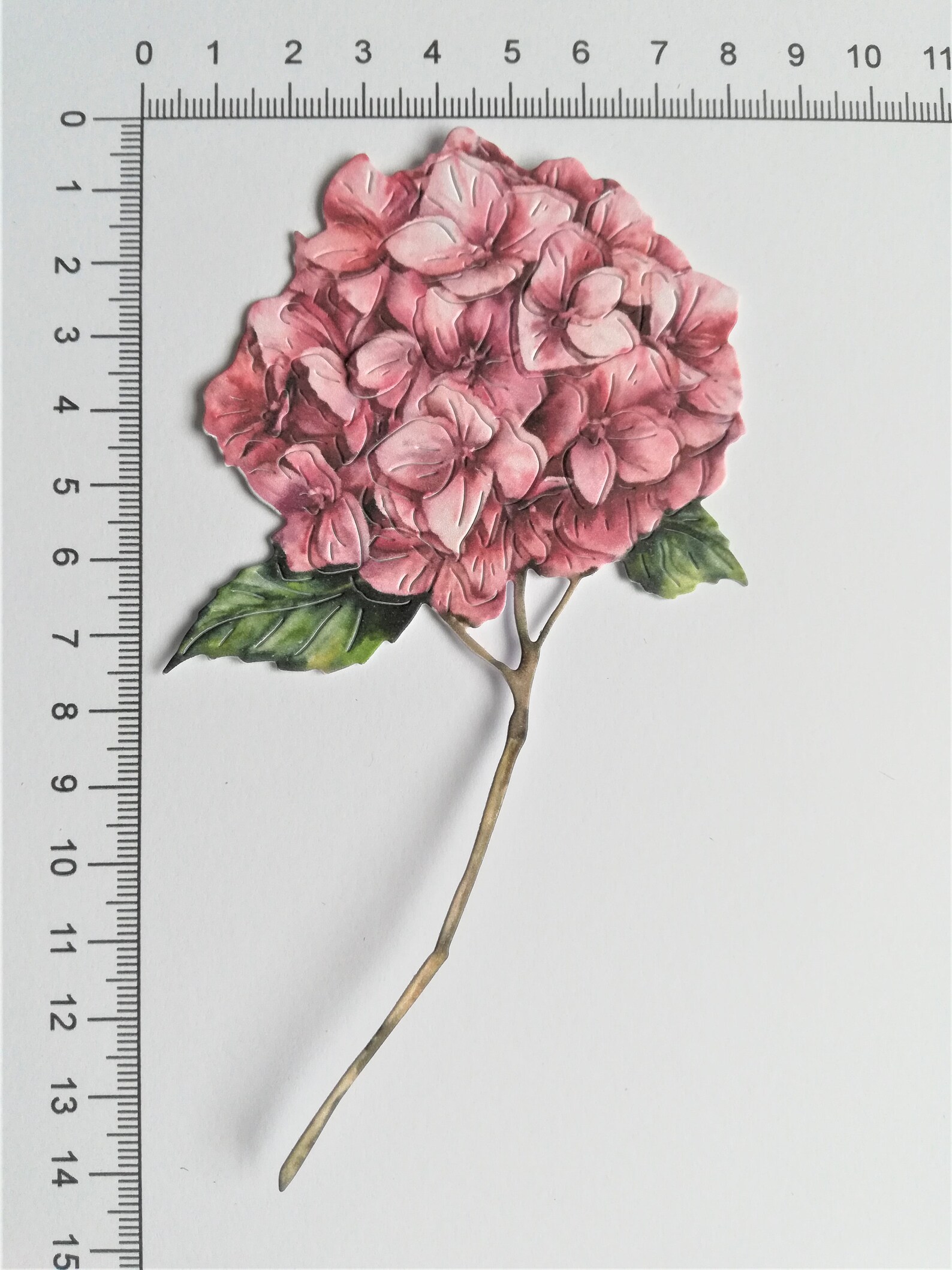 Pink Die Set Pink Die Cut Flowers, Set of 5 Mixed Pink Flower Die Cuts - Etsy
