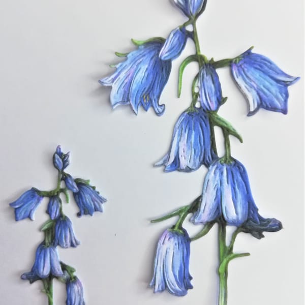12 bluebell flower die cuts, 6 sets of 2 blue flower cut outs, card toppers, die cut flowers, scrapbooking and card making supplies