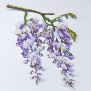 4 x paarse en witte blauweregen bloem stansvormen, kaarttoppers, tak dubbele bloei uitsnijdingen voor journaling, scrapbooking, kaarten maken, decor
