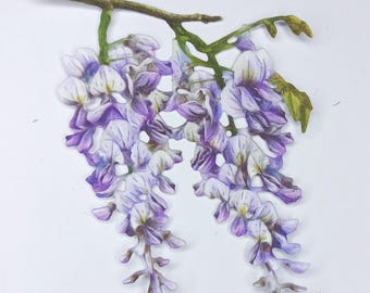 4 x purple and white wisteria flower die cuts,  card toppers, branch double bloom cut outs for journaling, scrapbooking, card making, decor