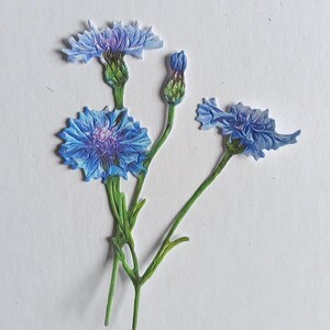 6 bleuets bleus découpés, bouquets de fleurs en papier découpés pour scrapbooking, décoration intérieure, fabrication de cartes et tenue d'un journal, dessus de cartes, éphémères