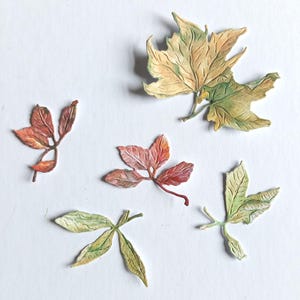 30 troqueles de hojas de otoño, hojas de otoño recortadas en papel, follaje de colores variados para hacer tarjetas, álbumes de recortes, diarios y decoración del hogar