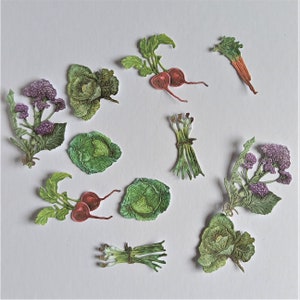 12 cortes de vegetais, vegetais mistos com cenoura, repolho, cebolinha, salada de folhas verdes para fazer cartões, scrapbooking, diário e decoração de casa