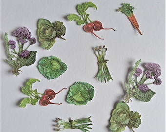 12 vegetable die cuts, mixed veg with carrot, cabbage, spring onion, salad greens for card making, scrapbooking, journaling and home decor