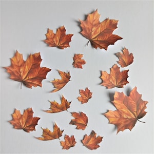 15 cortes de folhas douradas, folhas de outono recortadas em papel, folhagens de outono para fazer cartões, scrapbooking, diário e decoração de casa