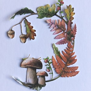 2 x couronne orange avec des feuilles de fougères, des champignons, des glands, des feuilles d'automne / d'automne pour la fabrication de cartes, la décoration intérieure, le scrapbooking et la tenue d'un journal