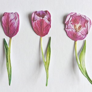 12 roze tulpenbloemstansen, kaarttopper lentebloemuitsparingen voor scrapbooking, woondecoratie, ephemera en kaarten maken en journaling