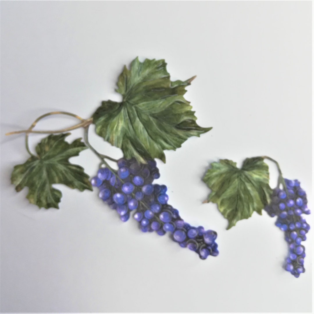 6 Grapevine Die Cuts, Die Cut Fruit, Purple Grape Cut Outs, Recipe
