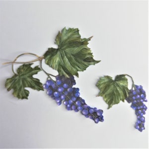 6 fustelle di vite, frutta tagliata, ritagli di uva viola, immagini di ricette, toppers di carte, forniture per la creazione di carte