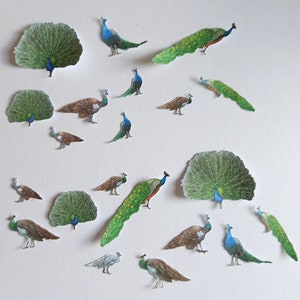 20 formes prédécoupées paon vert/bleu, découpes d'oiseaux de différentes tailles, deux ensembles de dix oiseaux pour le scrapbooking, la tenue d'un journal, la fabrication de cartes
