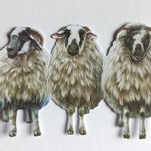 Leuke gestanste schapen, 4 sets van 3 uitgesneden papierooien voor scrapbooking, woondecoratie, kaarten maken en journaling, kaarttoppers met dieren