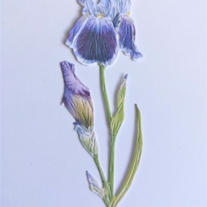 4 Stanzteile lila iris, langer Stiel lila und blaue Blume stanzen
