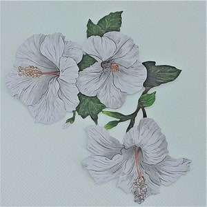 Große weiße Blumen Stanzteile x 4, Hibiskus Blumen Stanzteile für Scrapbooking, Kartenherstellung, Journaling und Wohndekor