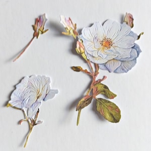 12 pastel weiße Blumen Stanzteile in verschiedenen Größen und Farben zur Kartenherstellung, Home Dekor, Scrapbooking und Journaling