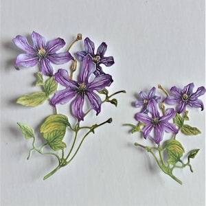 6 fustellati di clematide, 3 fustellati di rametti di fiori viola grandi e 3 piccoli, fiori di carta, scrapbooking, diari spazzatura e forniture per la creazione di cartoline