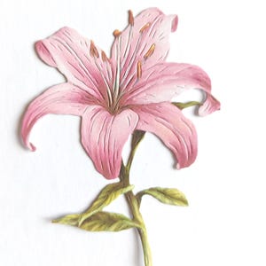 4 x enkele roze leliebloem gestanst, papier uitgesneden bloemen voor scrapbooking, woondecoratie, kaarten maken en journaling toppers, efemere