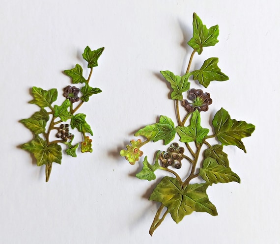 elefantenfuß im garten Elefantenfuß – 120 cm – Beaucarnea recurvata kaufen – Luna's Leaf Co