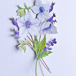 2 grandes flores de heléboro brancas e roxas cortadas em molde, recortes de papel para scrapbooking, decoração de casa, criação de cartões e diário, enfeites de cartão
