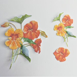 Oranje en gele bloemstansen voor decougage, nasturtium bloemstansen, maak 5 decoupaged bloemen van 15 die cuts, kaarttopper bloemen