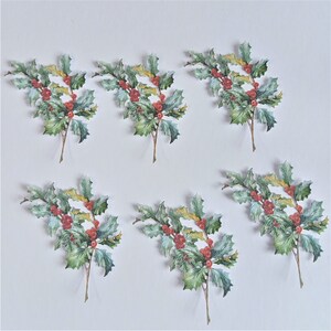 May include: Six sprigs of holly with red berries, each with a different arrangement of leaves and berries. The holly sprigs are isolated on a white background.