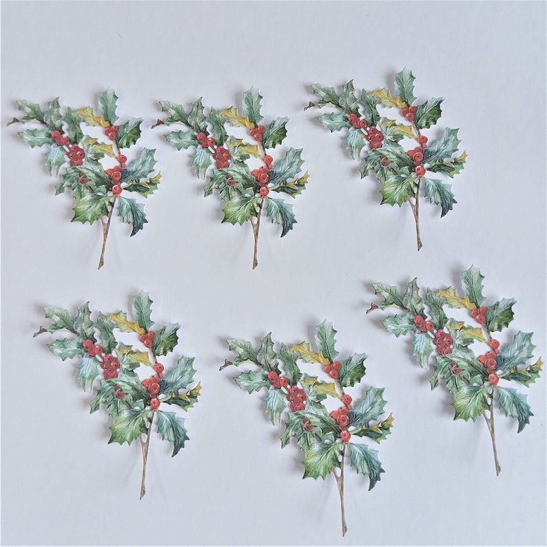 May include: Six sprigs of holly with red berries, each with a different arrangement of leaves and berries. The holly sprigs are isolated on a white background.