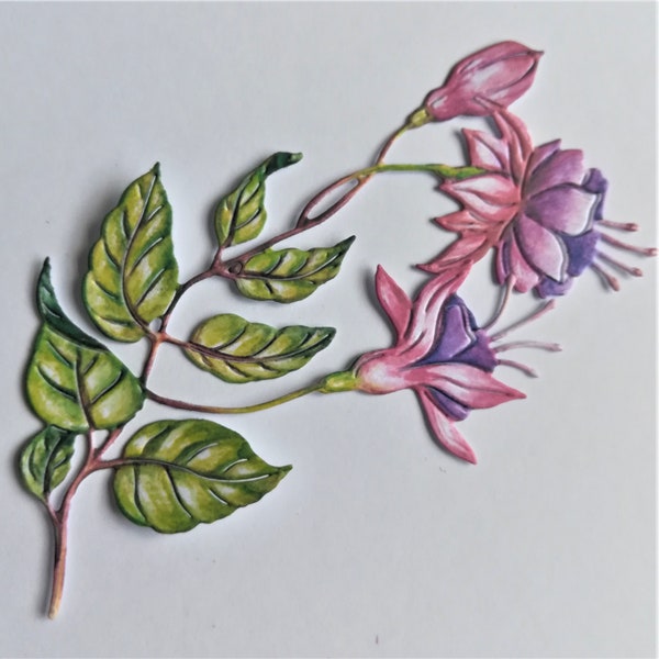 Die cut fuchsia flowers x 6, pink / purple fuchsia branch die cuts, card topper, card making supplies