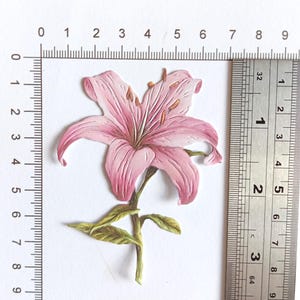 4 X Single Pink Lily Flower Die Cuts, Paper Cut Out Blooms for ...