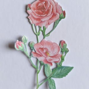 6 rosas selvagens rosa cortadas em matriz, raminho de flores recortado em papel para scrapbooking, decoração de casa, criação de cartões e diário, enfeites de cartão, itens efêmeros