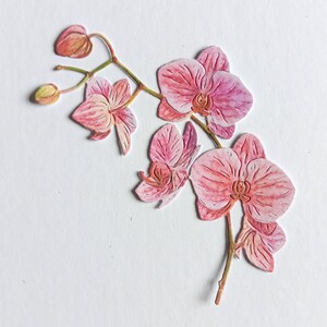 4 x orchidées roses découpées, brins de fleurs découpés dans du papier pour le scrapbooking, la décoration intérieure, la fabrication de cartes et les dessus de cartes de journalisation, éphémères