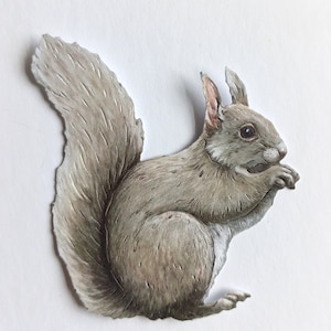 6 x cortes de esquilo cinza, animais coloridos de outono/outono para fazer cartões, decoração de casa, scrapbooking e registro no diário