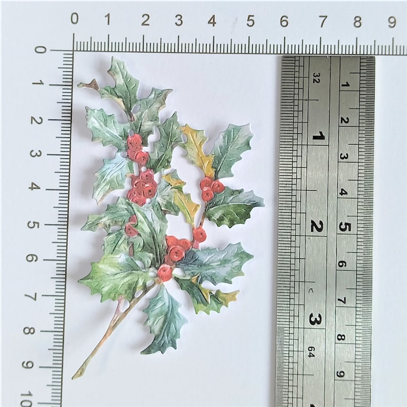May include: A green holly sprig with red berries, measuring approximately 2 inches in length. The sprig is on a white background with a ruler for scale.