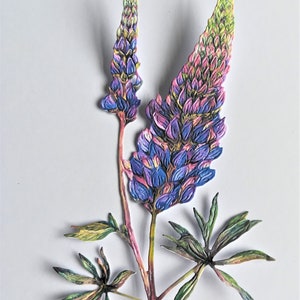 3 grandes découpes de fleur de lupin, découpes de branche de fleur de lupin