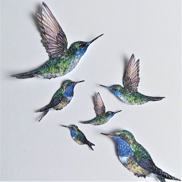 12 kolibrie stansvormen, vogel stansvormen in verschillende maten, twee sets van 6 gestanste vogels