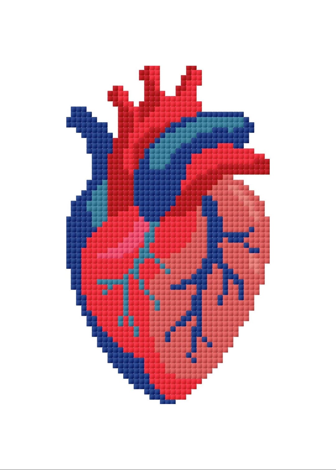 Heart Chart Pattern Anatomical Heart Needlepoint Chart | Beginner Pattern (digital Download ...
