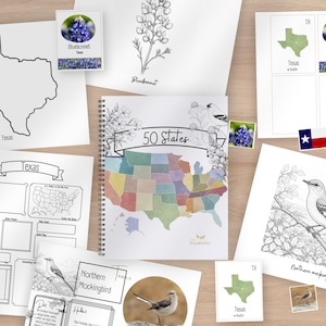 May include: A spiral-bound 50 States educational workbook surrounded by various printable activity sheets featuring the Texas state outline, a bluebonnet flower illustration, a northern mockingbird drawing, and a small Texas state flag.