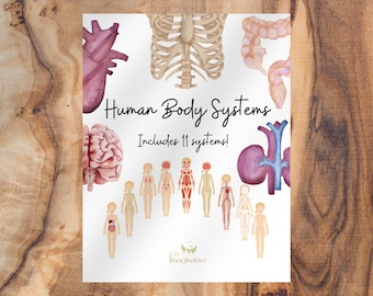 Human Body Systems Cards For Kids Homeschool Anatomy Resources Printable My Body Activity Craft Medical Memory Cards Preschool and Up Lesson