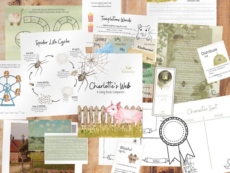 May include: A set of educational resources for children based on the book Charlotte's Web. The set includes a spider life cycle diagram, a character sort activity, a word list, and a pig illustration.