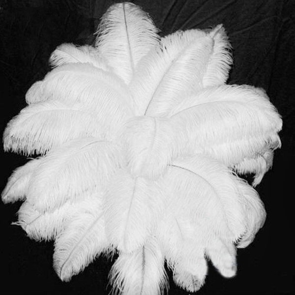 Pack of 50 Premium quality White Ostrich Feather, Medium Body Large Body Ostrich Drab Wholesale Feathers (Bulk)