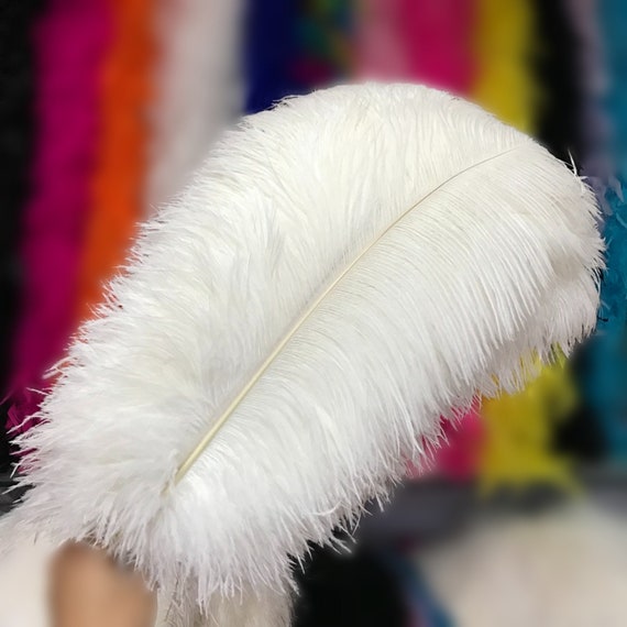 Ostrich feathers bulk sale deals